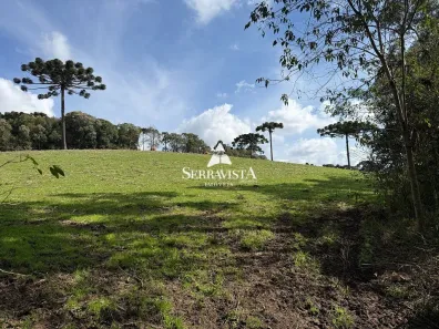 Fazenda/Sítio com 1 Quarto à venda, 44476m² no , Rio Negrinho
