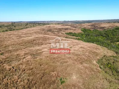 Fazenda/Sítio à venda, 1m² no , Campo Alegre de Goiás