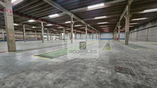 Galpão/Depósito/Armazém para alugar, 11000m² no Cooperativa, São Bernardo do Campo