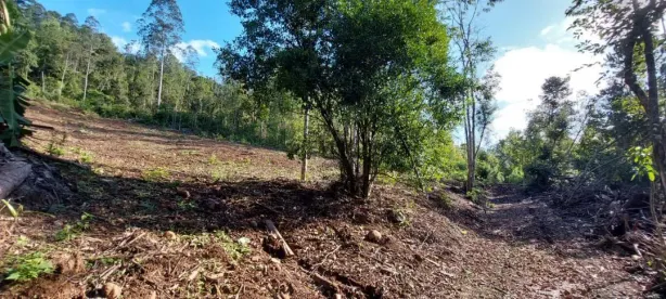Lote/Terreno à venda, 20m² no Joaneta, Picada Café