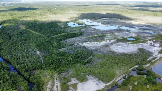 Fazenda/Sítio com 1 Quarto à venda, 5000000m² no , Canguaretama