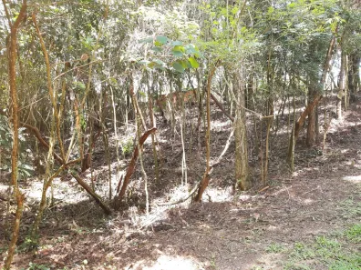 Lote/Terreno à venda, 1170m² no Chácara Recanto Verde, Cotia