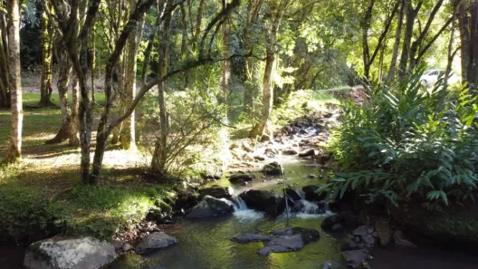 Fazenda/Sítio com 1 Quarto à venda, 2651m² no Linha Marcondes, Santa Maria do Herval
