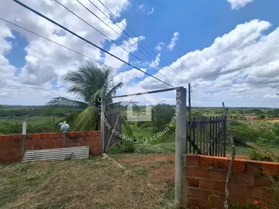 Fazenda/Sítio com 3 Quartos à venda, 270000m² no , Itaporanga D'Ajuda