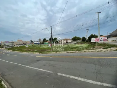 Lote/Terreno para alugar, 2500m² no Olarias, Ponta Grossa