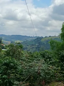 Fazenda/Sítio à venda, 23943m² no , Botelhos