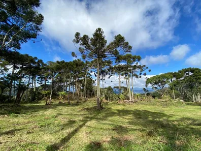Lote/Terreno à venda, 20000m² no , Urubici