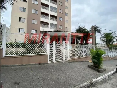 Apartamento com 3 Quartos à venda, 82m² no Vila São Vicente, São Paulo