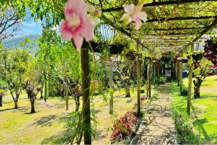 Fazenda/Sítio com 1 Quarto à venda, 2273m² no Biritiba Mirim, Biritiba Mirim