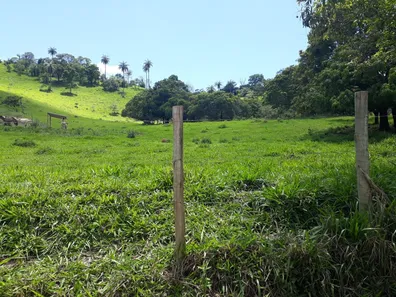 Fazenda/Sítio à venda, 20000m² no , Caeté