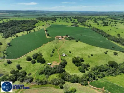 Fazenda/Sítio com 3 Quartos à venda, 33m² no Setor Central, Caiapônia