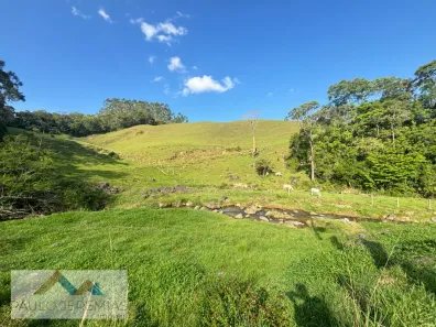 Fazenda/Sítio à venda, 10000m² no Varginha, São Pedro de Alcântara