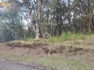 Lote/Terreno à venda, 654m² no Pinheiro Grosso, Canela
