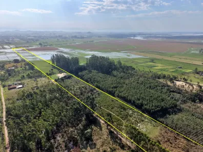 Fazenda/Sítio à venda, 93600m² no Figueirinha, Balneário Gaivota