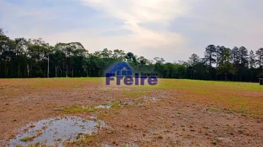 Galpão/Depósito/Armazém para alugar, 650m² no Alto da Serra, São Bernardo do Campo
