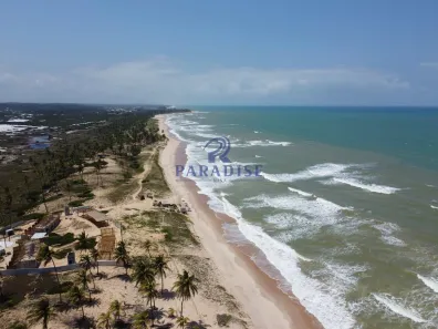 Lote/Terreno à venda, 300m² no , Mata de São João