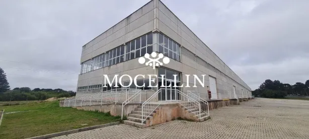 Galpão/Depósito/Armazém para alugar, 5050m² no Jardim dos Estados 2, Piraquara