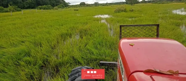 Fazenda/Sítio à venda, 8833000m² no Jorge Figueiras, Alvorada