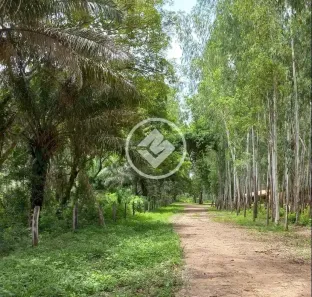 Fazenda/Sítio com 2 Quartos à venda, 161m² no , Santo Antônio de Leverger