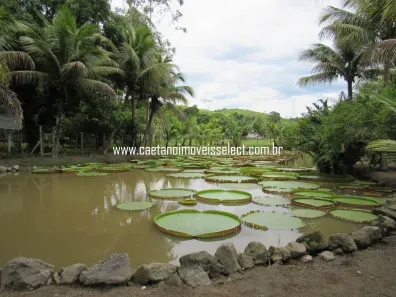 Fazenda/Sítio com 3 Quartos à venda, 16000m² no Papucaia, Cachoeiras de Macacu