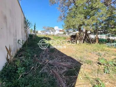 Lote/Terreno à venda, 400m² no Jardim Karaíba, Uberlândia