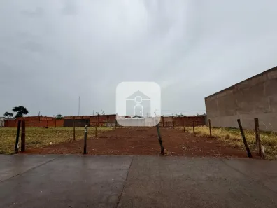 Lote/Terreno para alugar, 300m² no Loteamento Residencial Pequis, Uberlândia