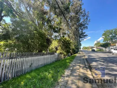 Lote/Terreno à venda, 4866m² no Centro, São José dos Pinhais