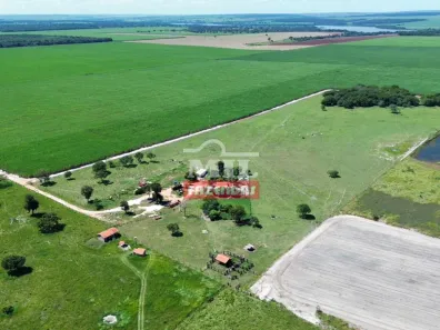 Fazenda/Sítio à venda, 1936000m² no , Cachoeira Alta