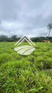 Fazenda/Sítio à venda, 6240000m² no , Barrolândia