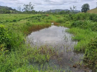 Fazenda/Sítio com 2 Quartos à venda, 55000m² no , Silva Jardim