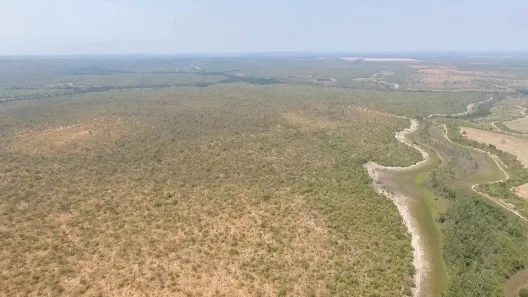 Fazenda/Sítio à venda, 1651650m² no , Damianópolis
