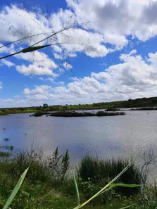 Fazenda/Sítio com 3 Quartos à venda, 900000m² no , Vera Cruz
