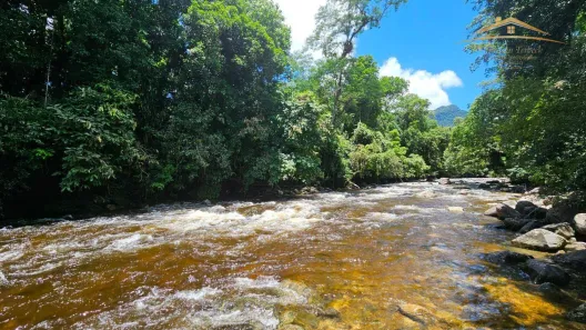 Fazenda/Sítio com 2 Quartos à venda, 120m² no , Morretes