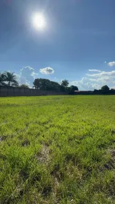 Lote/Terreno para alugar, 4695m² no Vila Leme, Paranapanema