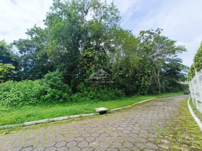 Lote/Terreno à venda, 1291m² no Boracéia, São Sebastião