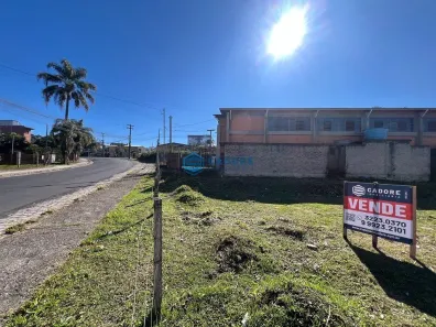 Lote/Terreno à venda, 650m² no São Virgílio, Caxias do Sul
