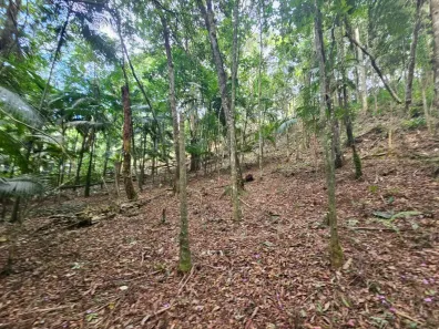 Lote/Terreno à venda, 1300m² no Centro, Juquitiba