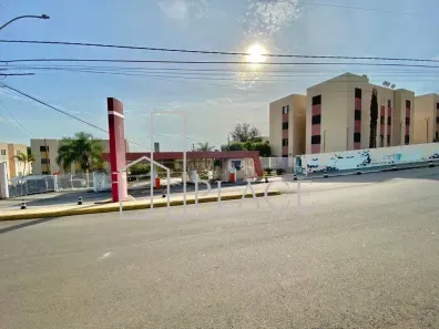 Apartamento com 2 Quartos para alugar, 50m² no Jardim Califórnia, Marília