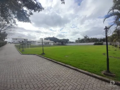 Imóvel Comercial à venda, 970m² no Quarta Linha, Criciúma