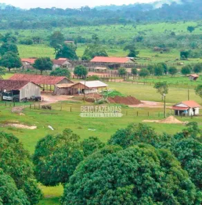 Fazenda/Sítio à venda, 999999999m² no , Rondolândia