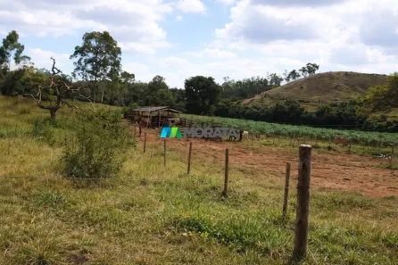 Fazenda/Sítio com 1 Quarto à venda, 19m² no , Piumhi