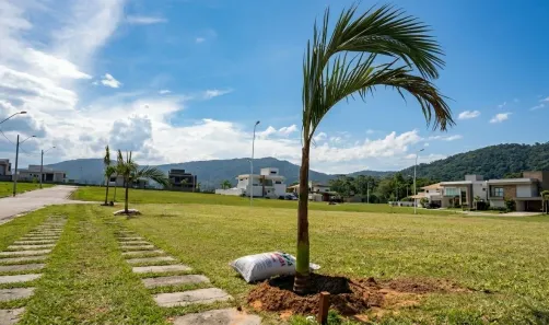 Lote/Terreno à venda, 419m² no São João do Rio Vermelho, Florianópolis