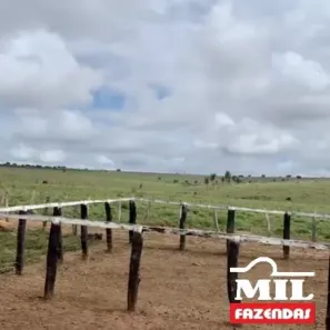 Fazenda/Sítio à venda, 1m² no , São Domingos