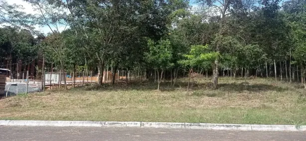Lote/Terreno à venda, 1359m² no Condomínio Ecológico Mansões Morumbi, Senador Canedo