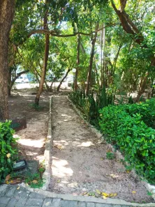 Apartamento com 2 Quartos para alugar, 50m² no Nossa Senhora da Conceição, Paulista
