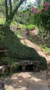 Lote/Terreno à venda, 20000m² no , Domingos Martins