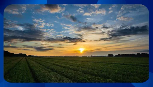 Fazenda/Sítio com 1 Quarto à venda, 560000m² no , Água Preta