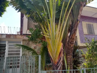 Casa com 2 Quartos à venda, 110m² no Rudge Ramos, São Bernardo do Campo