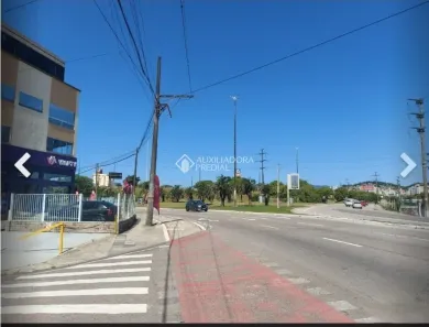 Ponto Comercial com 10 Quartos à venda, 2000m² no Capoeiras, Florianópolis
