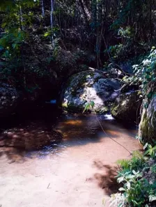 Fazenda/Sítio à venda, 484000000m² no , Cunha